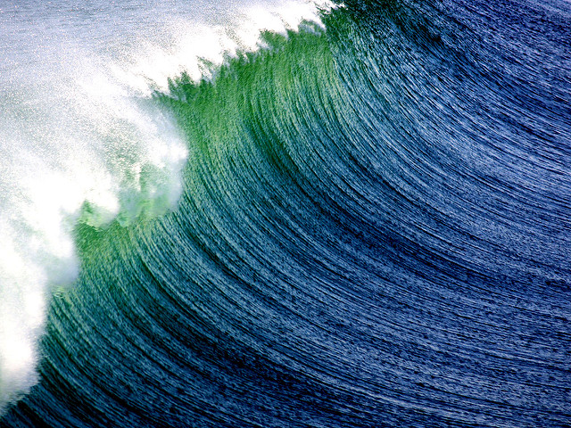 Ride the Green Wave! Finally, a Comprehensive Strategy for Pr... by Steve Golia